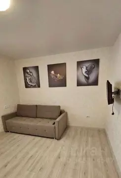 Студия Тюменская область, Тюмень ул. Фармана Салманова, 10 (25.0 м)