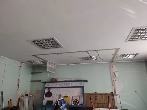 Помещение свободного назначения в Алтайский край, Славгород ...