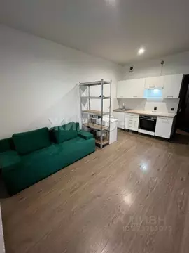 Студия Санкт-Петербург Кондратьевский просп., 68к4 (24.3 м)