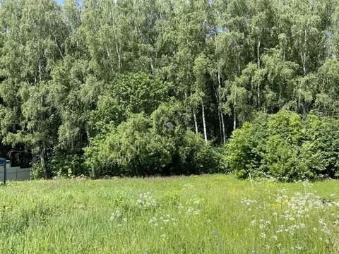 Участок в Калужская область, пос. Ферзиково ул. Луговая проезд 4 (10.0 ...