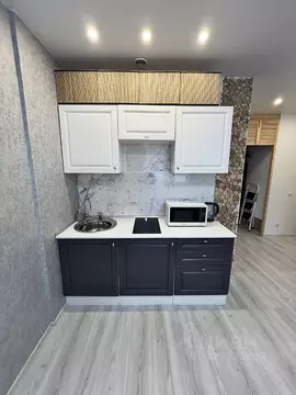 Студия Новосибирская область, Новосибирск Сухарная ул., 107/1 (26.8 м)