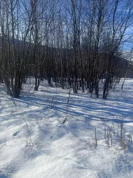 Участок в Камчатский край, Петропавловск-Камчатский Полевая ул. (10.46 ...