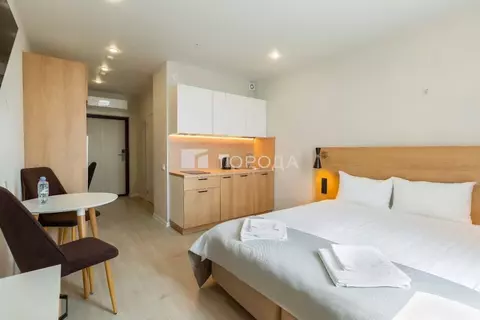 Студия Новосибирская область, Новосибирск ул. Кирова, 113/2 (22.0 м)