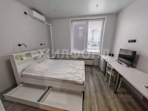 Студия Новосибирская область, Новосибирск Ипподромская ул., 15 (22.0 ...