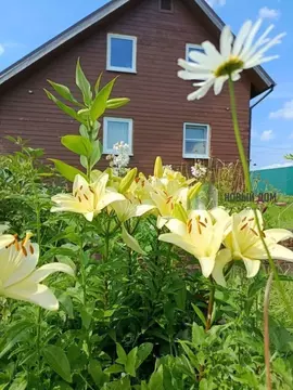 Дом в Новгородская область, Новгородский район, Савинское с/пос, д. ...
