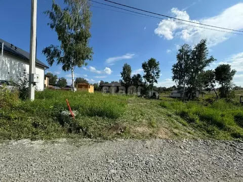 Участок в Новосибирская область, Новосибирский район, Каменский ...