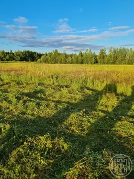 Участок в Ленинградская область, Гатчинский муниципальный округ, д. ...