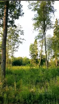 Участок в Московская область, Истра муниципальный округ, д. Рожново  ...