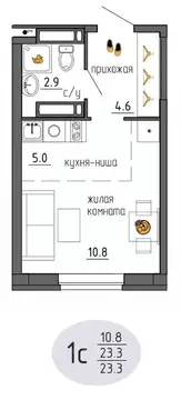 Студия Пермский край, Пермь Ижевская ул., 38 (23.3 м)