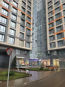 Квартира-студия: посёлок Парголово, Толубеевский проезд, 8к2 (29.3 м)