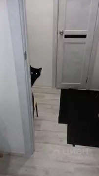 1-к кв. Мурманская область, Мурманск Северный проезд, 6 (33.0 м)