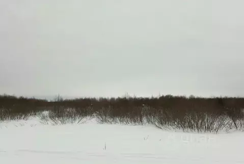 Участок в Московская область, Дмитровский муниципальный округ, д. ...