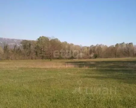 Участок в Алтайский край, Алтайский район, с. Верх-Ая Школьная ул., 1 ...