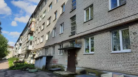 2-к кв. Ленинградская область, Сланцы ул. Гагарина, 13 (47.3 м)