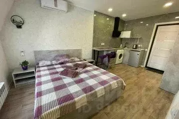 1-к кв. Алтайский край, Барнаул ул. Льва Толстого, 13А (20.0 м)