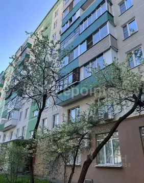 Помещение свободного назначения в Москва ул. Софьи Ковалевской, 8 (300 ...