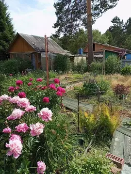 Участок в Иркутская область, Иркутский муниципальный округ, Городское ...