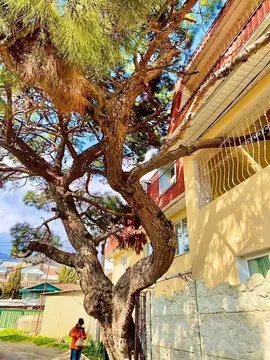 Дом в Крым, Судак ул. Приморская, 20 (200 м)