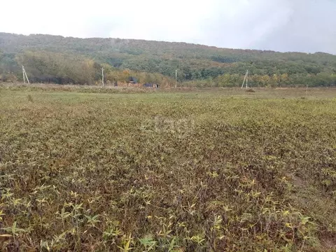 Участок в Адыгея, Майкопский район, Победенское с/пос, пос. Совхозный ...