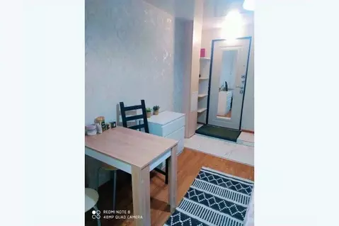 1-к кв. Пермский край, Пермь ул. Пушкина, 13 (17.0 м)