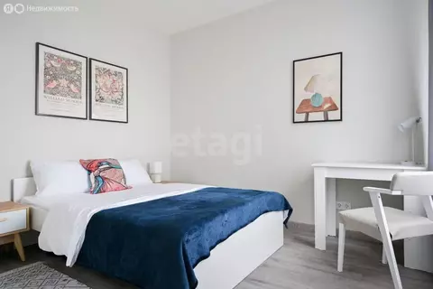 Квартира-студия: Санкт-Петербург, Витебский проспект, 99к1 (26.7 м)