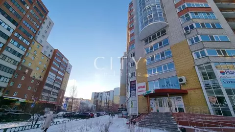 Торговая площадь в Тюменская область, Тюмень ул. Василия Гольцова, 10 ...