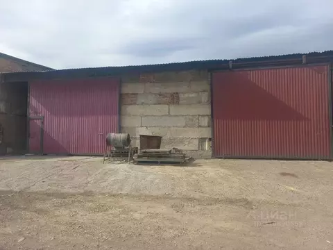 Производственное помещение в Хакасия, Черногорск ул. Бограда, 3Г (515 ...
