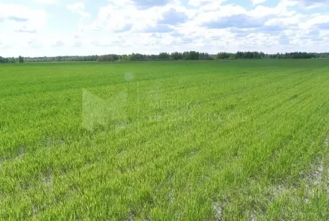 Участок в Тюменская область, Тюменский муниципальный округ, с. ...