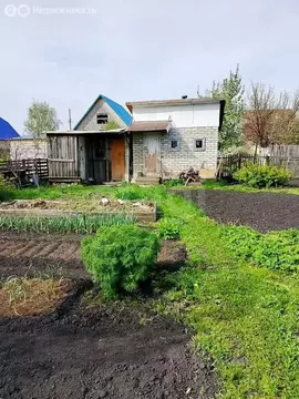 Участок в Курган, СТ Родничок Треста Спецстроймеханизация (6 м)