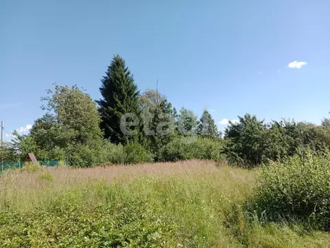 Участок в Брянская область, Брянский район, Новодарковичское с/пос, ...