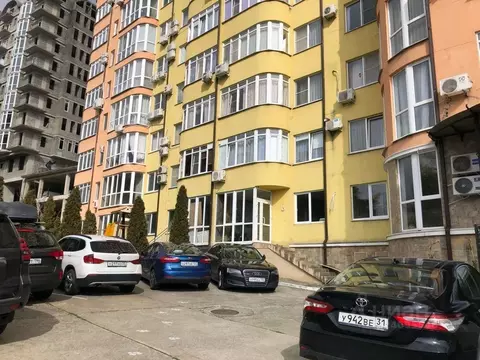 Помещение свободного назначения в Краснодарский край, Сочи Адлер ...