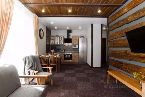 1-к кв. Челябинская область, Миасский городской округ, с. Сыростан ул. ...