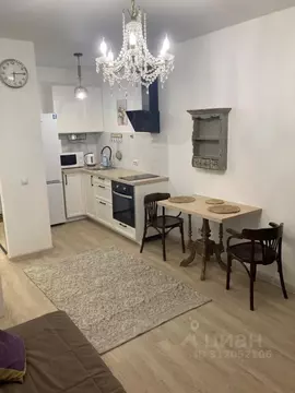 Студия Свердловская область, Екатеринбург ул. Шаумяна, 24 (28.0 м)