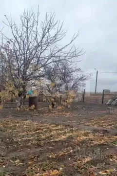 Участок в Волгоградская область, Среднеахтубинский район, Кировское ...