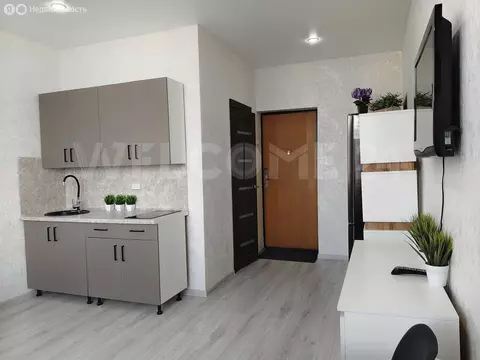 Квартира-студия: Чебоксары, улица Фридриха Энгельса, 13 (23.6 м)