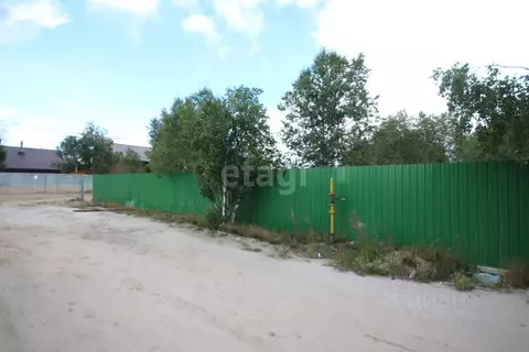 Участок в Ямало-Ненецкий АО, Новый Уренгой ДНТ заимка, ул. Луговая, 58 ...