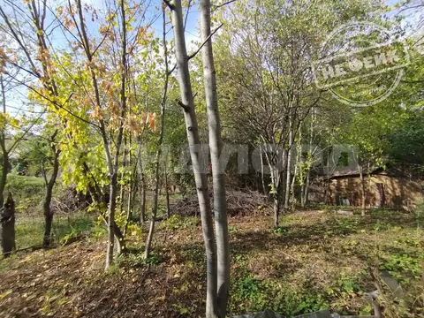 Участок в Ростовская область, Ростов-на-Дону Садовод-Любитель садовое ...