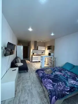 1-к кв. Московская область, Старая Купавна Богородский городской ...