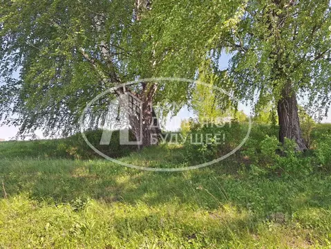 Участок в Пермский край, Кунгурский муниципальный округ, с. Жилино  ...