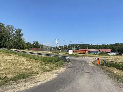 Участок в Алтайский край, Первомайский район, Звездный-2 СНТ ул. ...