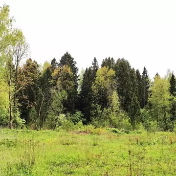 Продается участок в д. Мизиново