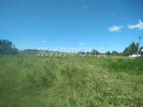 Участок в Орловская область, Орловский район, д. Лунево ул. Южная ...