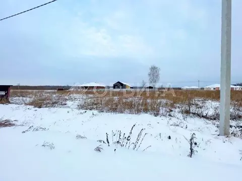 Участок в Тюменская область, Тюмень СОСН Березовое Озеро тер., ул. ...