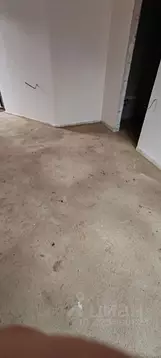 Студия Севастополь ул. Хрусталева, 112А (28.0 м)