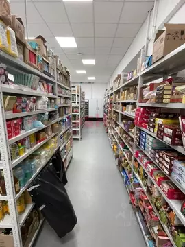 Помещение свободного назначения в Воронежская область, Воронеж ул. 25 ...