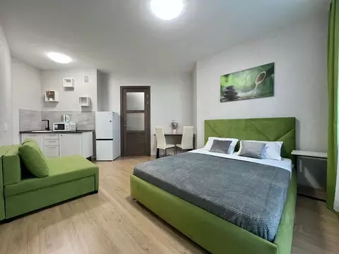 Студия Свердловская область, Екатеринбург ул. Блюхера, 89 (25.0 м)