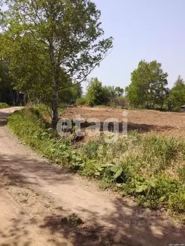 Участок в Свердловская область, Нижний Тагил муниципальный округ, с. ...