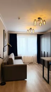 Студия Санкт-Петербург ул. Пахомовская, 12к2 (20.9 м)