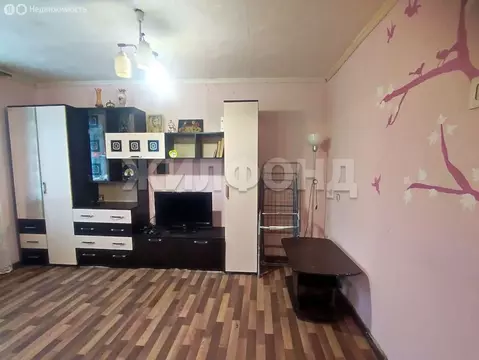 1-комнатная квартира: Новосибирск, Планировочная улица, 18/2 (25.6 м)