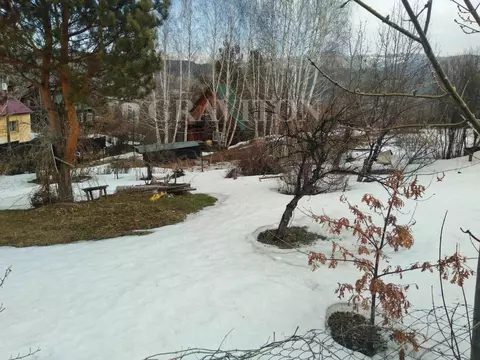 Участок в Алтай, Горно-Алтайск Коксинский пер. (5.5 сот.)